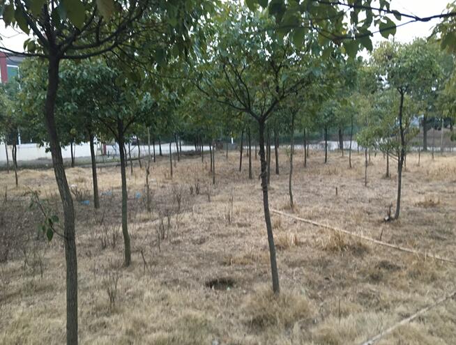 **޹˾еλڮͿh**(zhn)I(y)@ڹI(y)õa(chn)Ca(chn)oCa(chn)ľkƷO(sh)估ģЈrֵu