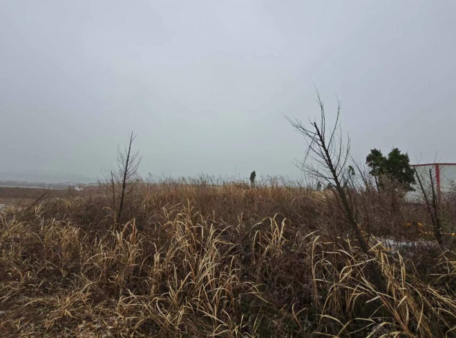 Ϸu(y)N@ֹ޹˾O(sh)λںϷзhͤ(zhn)Sٵ@(ni)깤Ј(chng)r(ji)ֵu(png)